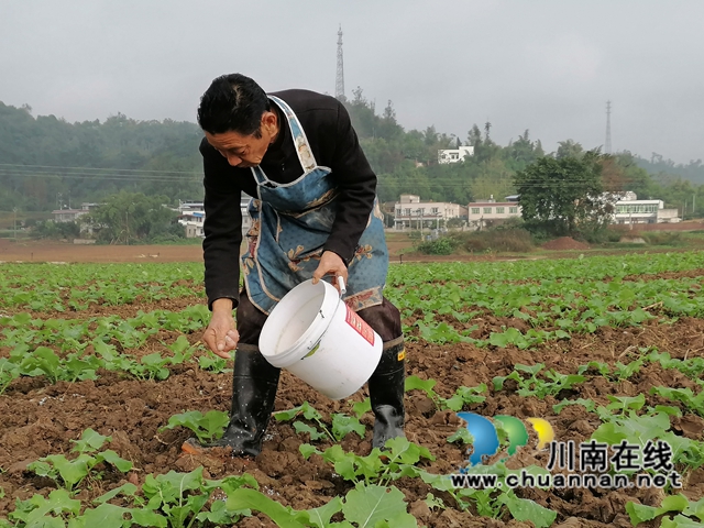 超燃！“蜀我·会找活”数智平台在泸县上线，抢跑泸州第一单