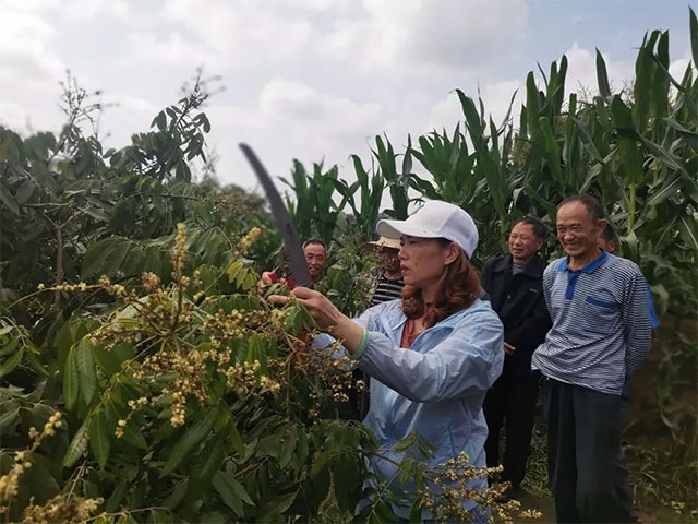 全省推动乡村振兴先进典型，泸州1人1村入选