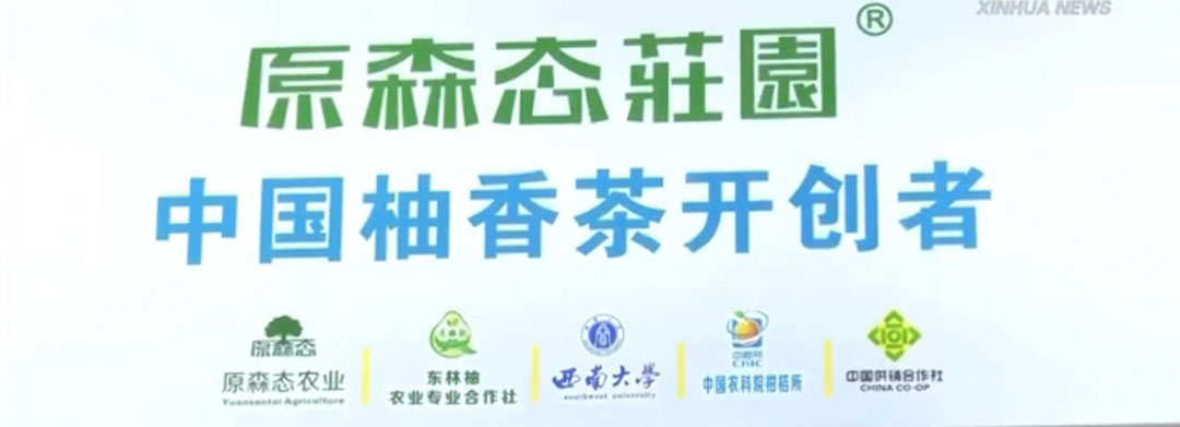 专稿 | 新华社：花果皮全利用 四川泸州打造柚子产业全链条