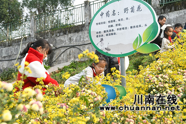 采摘现场-(2).jpg