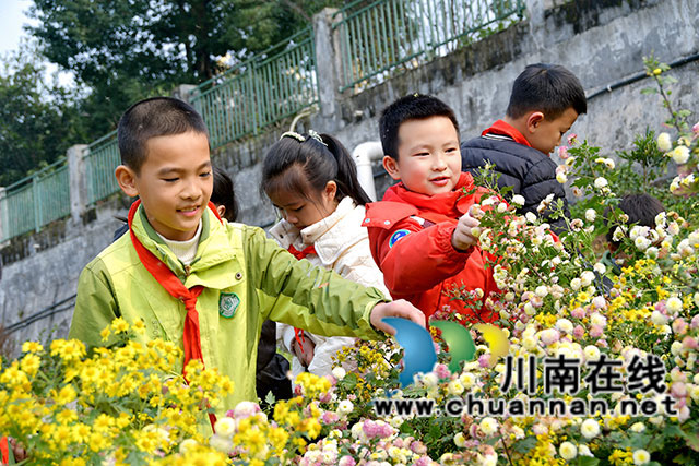 采摘现场-(1).jpg