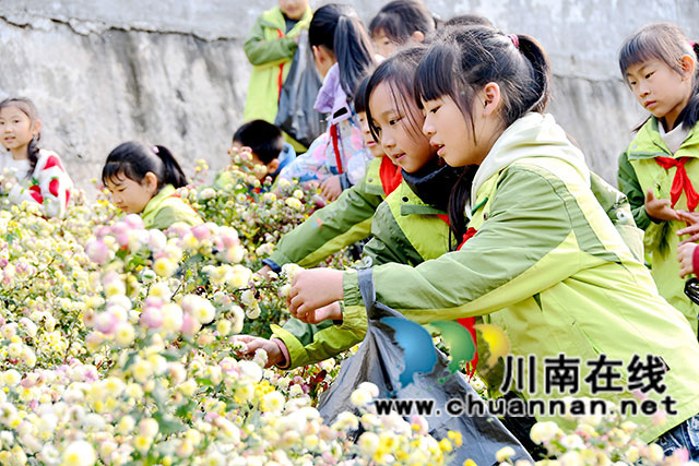 采摘现场-(4).jpg