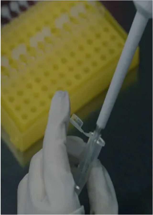 姓名:安某,原名:魏宇(图5) 5.jpg