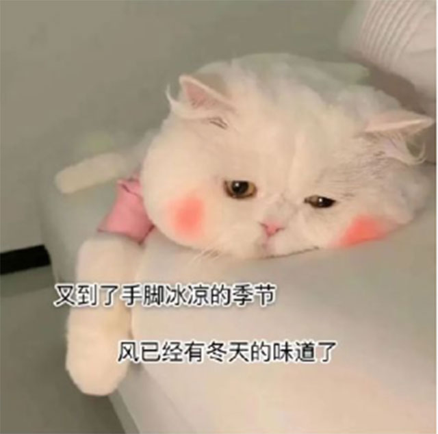 【扩散】怕冷，手脚冰冷，吃点凉的就拉肚子的看过来！