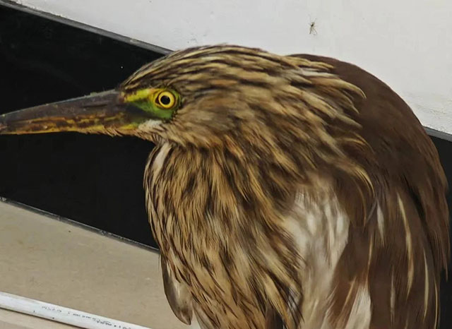 派出所“伙食”阔以得很，关键警察还喂我……