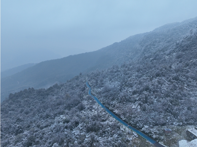实拍屏山雪景！直播间连夜搬到山上！
