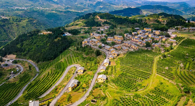 喜迎泸州妇女九大丨巾帼奋进这五年·叙永篇(图8) 8.jpg