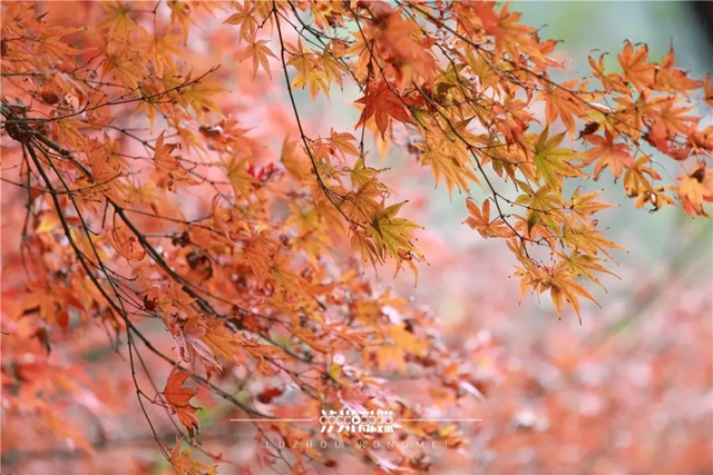 冬季泸州版“千里江山图”震撼来袭!(图12) 12.jpg