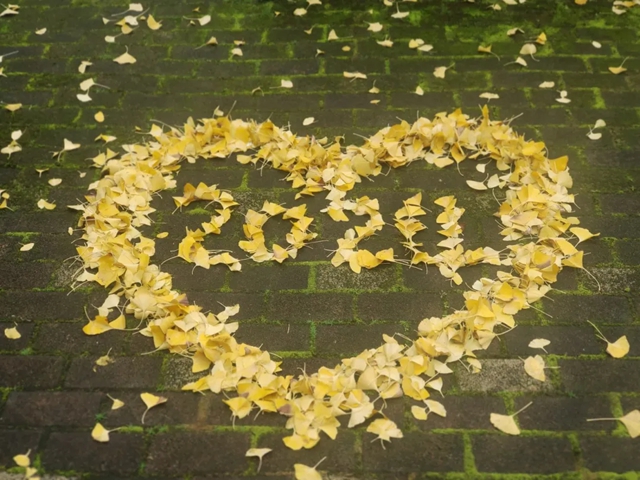 冬季泸州版“千里江山图”震撼来袭!(图15) 15.jpg