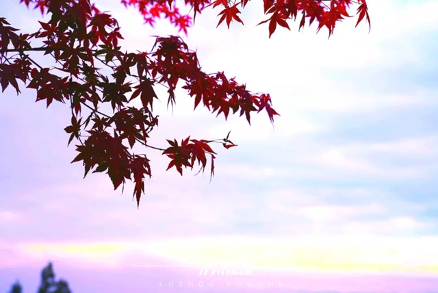 冬季泸州版“千里江山图”震撼来袭!(图13) 13.jpg