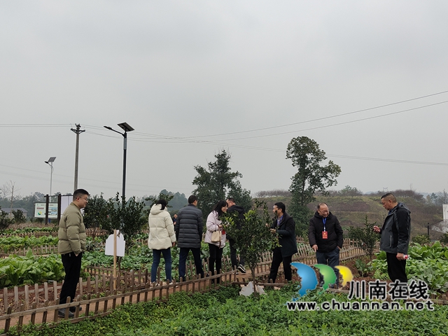 龙马潭区鱼塘街道:携手代表委员 共筑民生关切之桥(图2) 微信图片_20241220174359.jpg