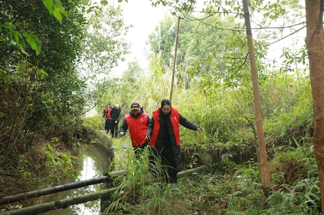 泸州自然资源和规划系统:党建引领聚合力 支部共建促提升(图1) 自1.jpg