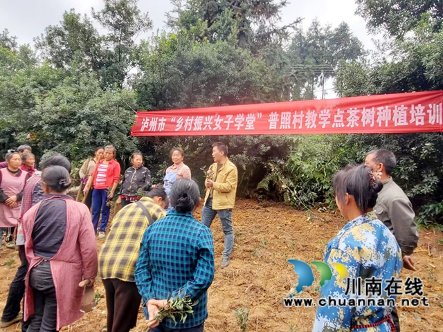 纳溪区普照村驻村工作队:“驻”进群众心坎,“帮”出满满幸福(图4) 图3:乡村女子学堂培训课搬进地头.jpg