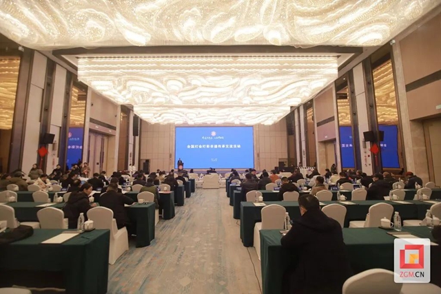 携手点亮“中国灯” 中国彩灯文化联盟成立