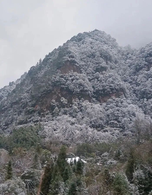 泸州,瑞雪兆丰年(图1) 1.jpg