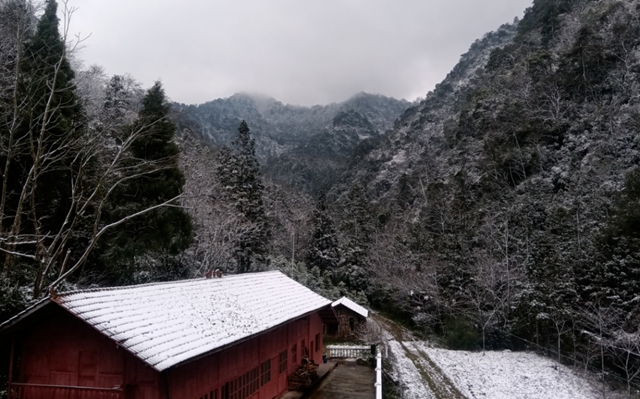 泸州,瑞雪兆丰年(图3) 3.jpg