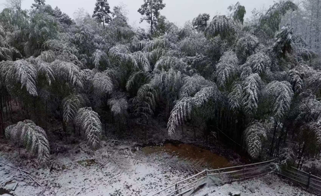 泸州,瑞雪兆丰年(图4) 4.jpg