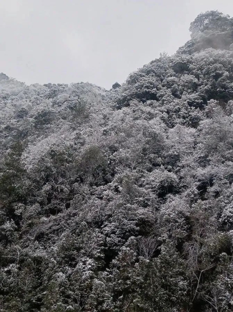 泸州,瑞雪兆丰年(图2) 2.jpg