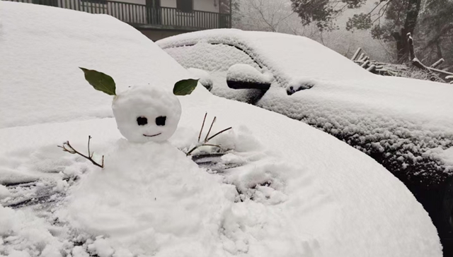 泸州,瑞雪兆丰年(图6) 6.jpg