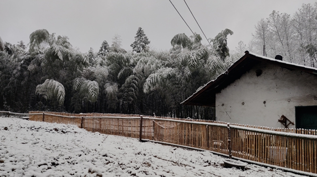 泸州,瑞雪兆丰年(图7) 7.jpg