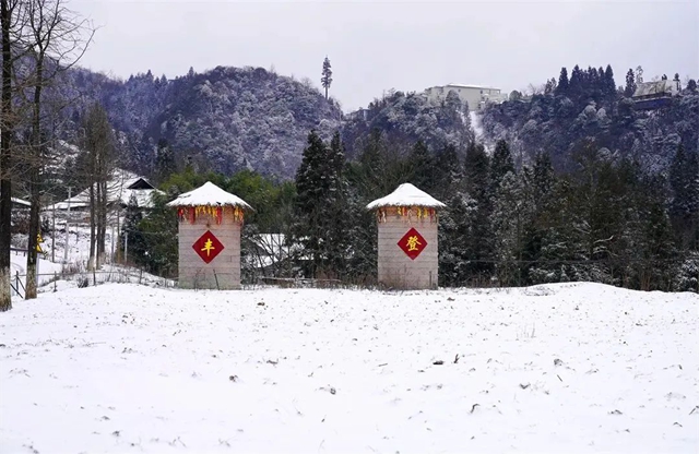 泸州,瑞雪兆丰年(图13) 13.jpg