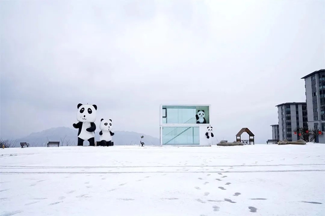 泸州,瑞雪兆丰年(图12) 12.jpg