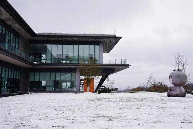 泸州,瑞雪兆丰年(图18) 18.jpg