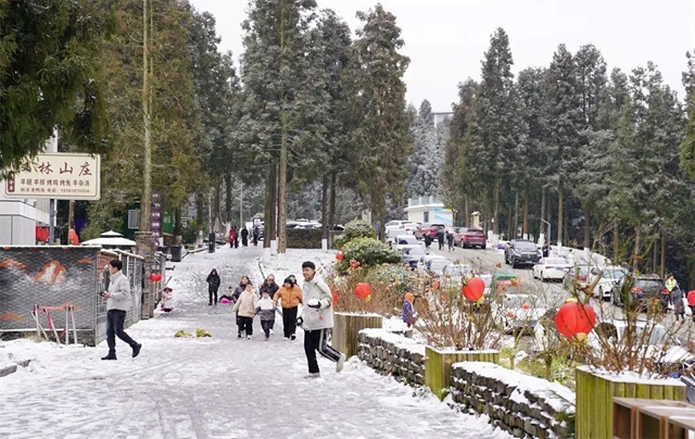 泸州,瑞雪兆丰年(图19) 19.jpg