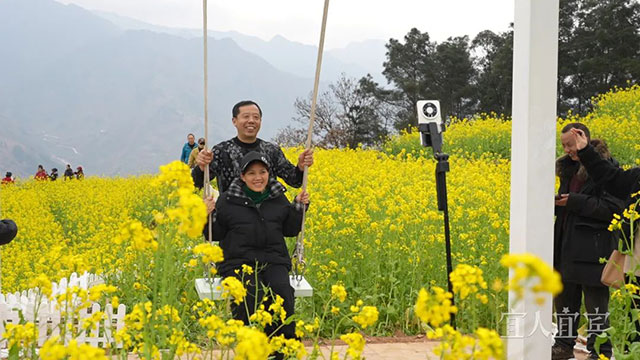 赏花去!宜宾屏山镇五万亩油菜花盛放(图3) 3.jpg