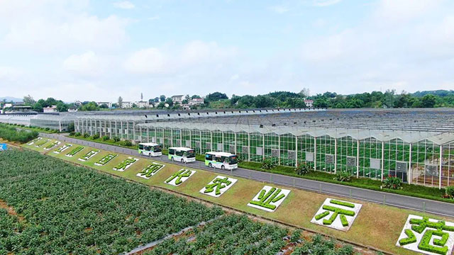 【畅游酒城过新年】农家美味、民俗文化，坐上公交，“村”游乐不停！