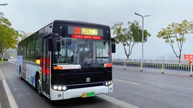 红梅开啦!泸州公交带您打卡拍照赏花去(图1) 1.jpg