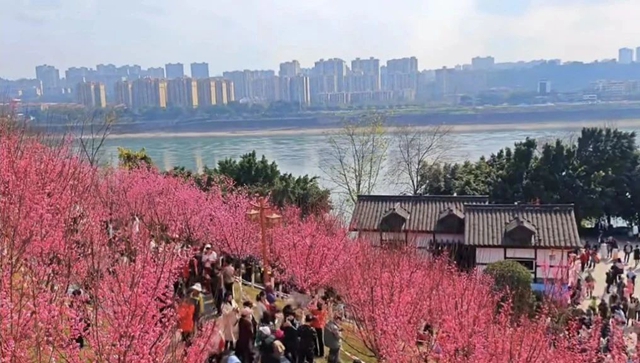 泸州这个公园花开正当时,等你来打卡!(图8) 8.jpg