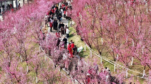 泸州这个公园花开正当时,等你来打卡!(图11) 11.jpg