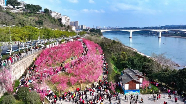 泸州这个公园花开正当时,等你来打卡!(图14) 14.jpg