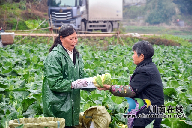 家门口就业,泸县佳乡劳务专业合作社来帮忙(图3) d548aafb0d223ae29da8d8d7d35931a.jpg