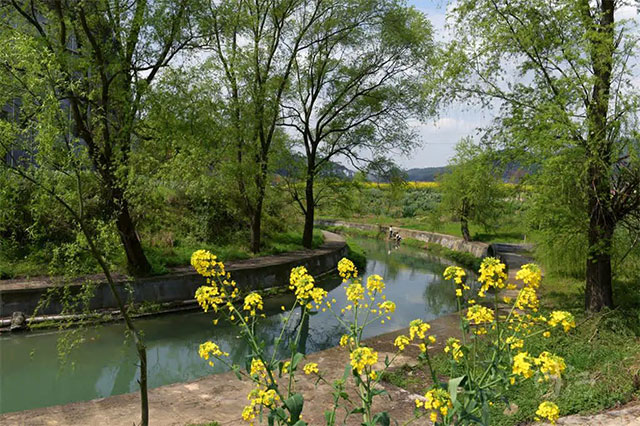 点赞!古蔺白沙河上榜2024年省级幸福河湖名录(图2) 2.jpg