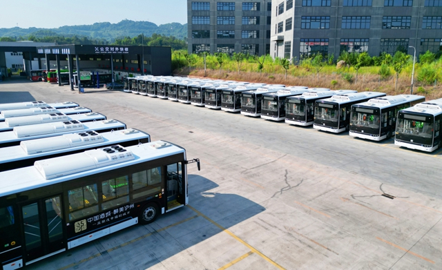 对话DeepSeek ,它眼中的泸州公交(图2) 2.jpg