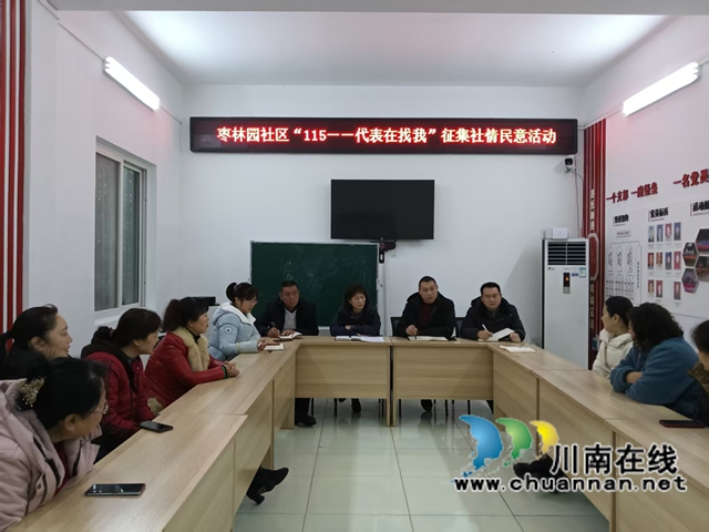 龙马潭区鱼塘街道人大代表深入村(社区)开展“115——代表在找我”主题活动(图2) 2.jpg