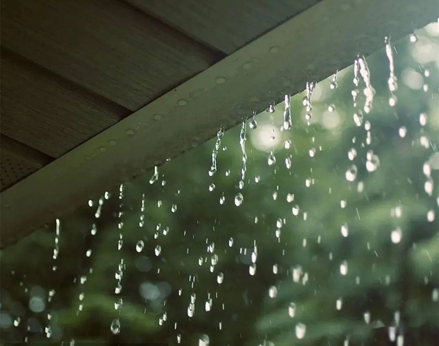 【雨水】寒湿重的人！这3种时令菜吃起来