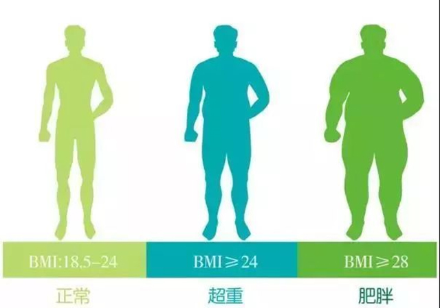 【扩散】30人！西南医大中医院“中医减重营”招人啦