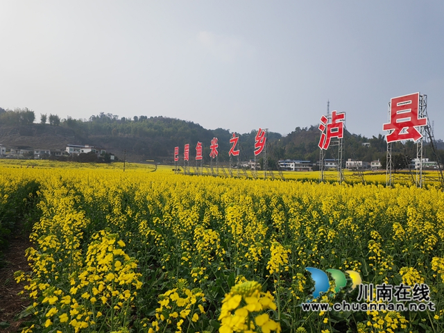 花海（曾佐然摄）.jpg