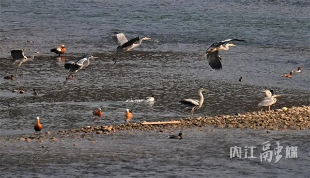 欢迎!上千位“贵客”返内(图8) 8.jpg