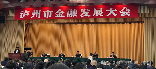 泸州城投融资担保有限公司荣获2024年金融工作突出贡献表扬