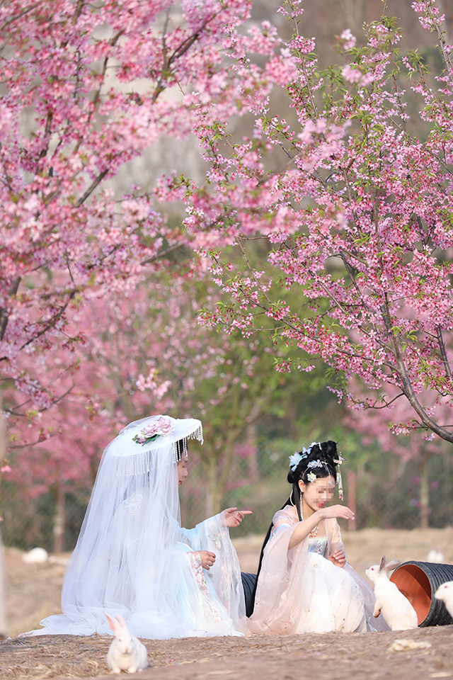 来江阳,赏花!(图4) 4.jpg