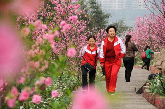 来江阳,赏花!(图12) 12.jpg