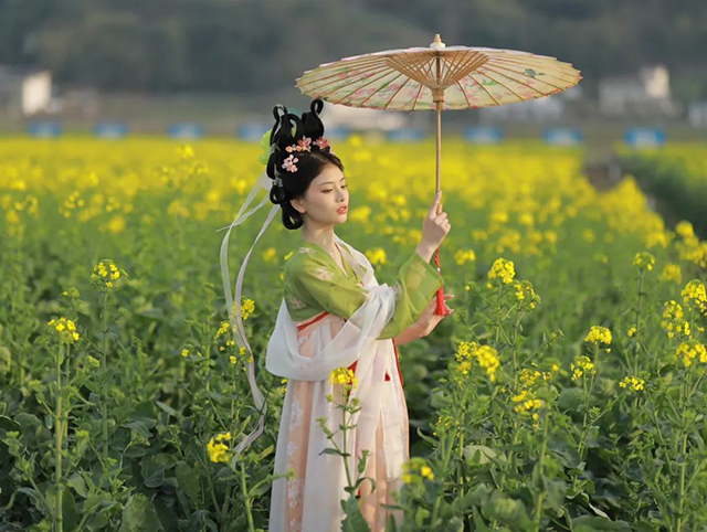 来江阳,赏花!(图18) 18.jpg