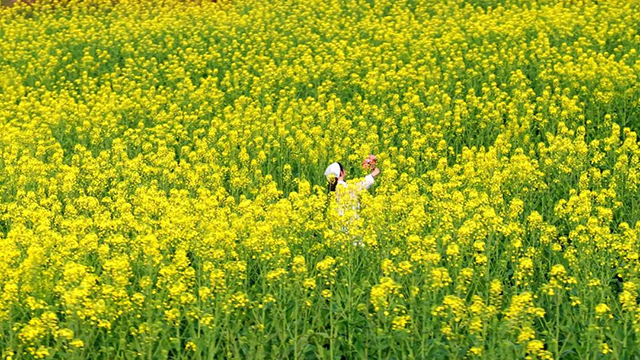 来江阳,赏花!(图17) 17.jpg