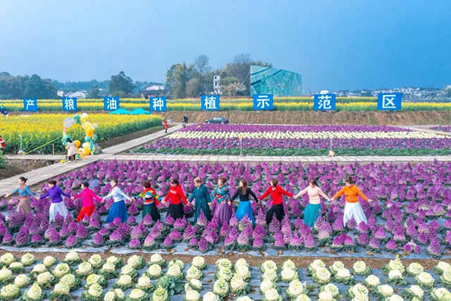 来江阳,赏花!(图19) 19.jpg