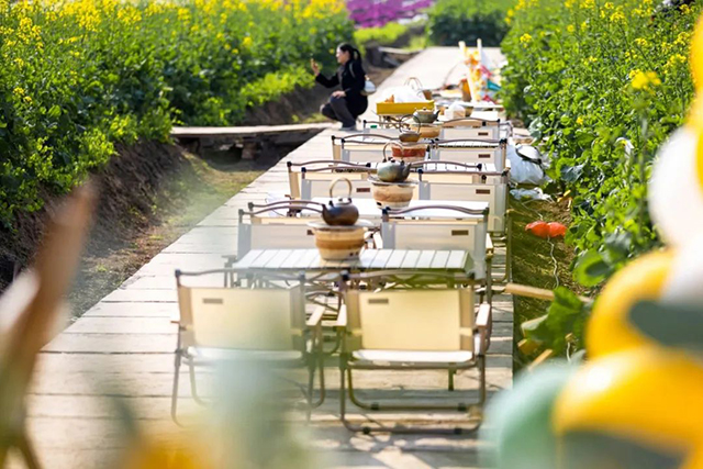 来江阳,赏花!(图20) 20.jpg