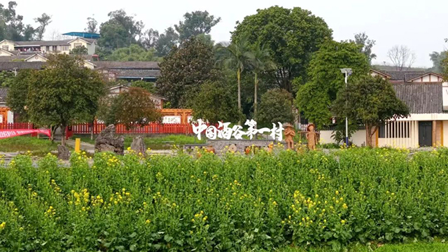 来江阳,赏花!(图24) 24.jpg